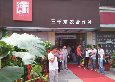 河南茶叶_河南茶叶专卖店_三千茶农茶叶加盟