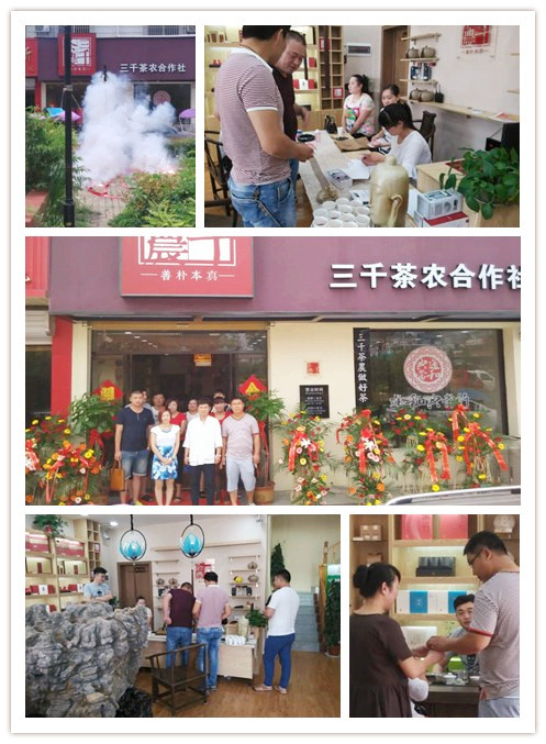 安徽茶叶加盟店_茶叶连锁店_灵璧三千茶农茶叶店