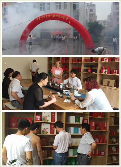 淄博茶叶_淄博茶叶价格_淄博菏泽茶叶批发
