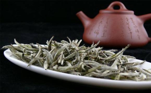 白茶_白毫银针的特点