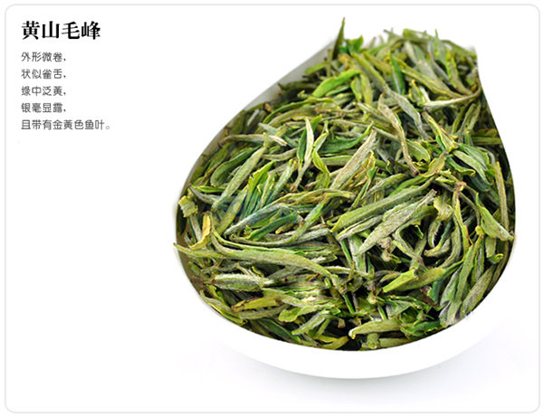 黄山毛峰受欢迎情况_黄山毛峰茶作用功效