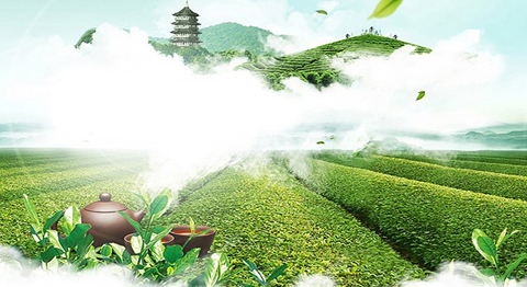 十大茶叶专卖店排行-十大茶叶加盟品牌