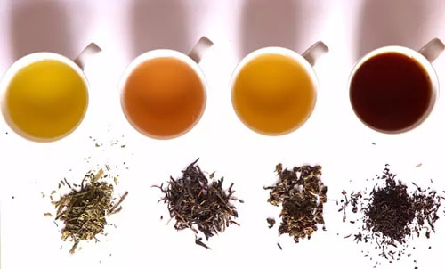 什么时候的茶最好喝
