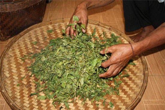 茶叶制作-揉捻的方法