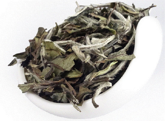 白茶保存_白茶科学有效的储存方法