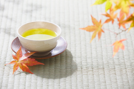 黄茶_君山银针的功效与作用