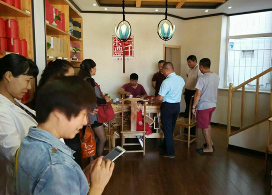 凤凰单枞属于什么茶