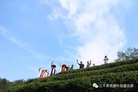 三千茶农茶山茶园旅游--茶山游学