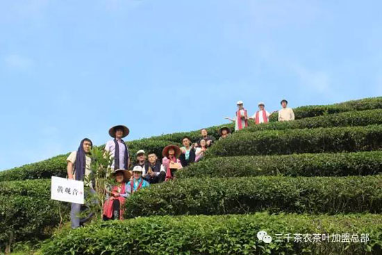 三千茶农茶山茶园旅游--茶山游学