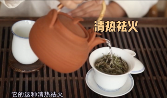 中国白茶原产地－白茶园－福鼎白茶