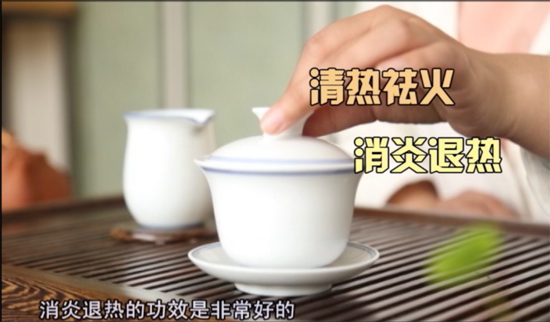 中国白茶原产地－白茶园－福鼎白茶