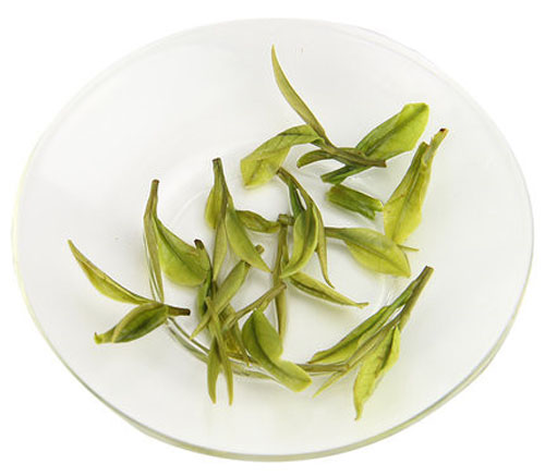 安吉白茶属于什么茶