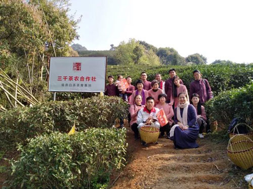 三千茶农茶厂茶农合作社