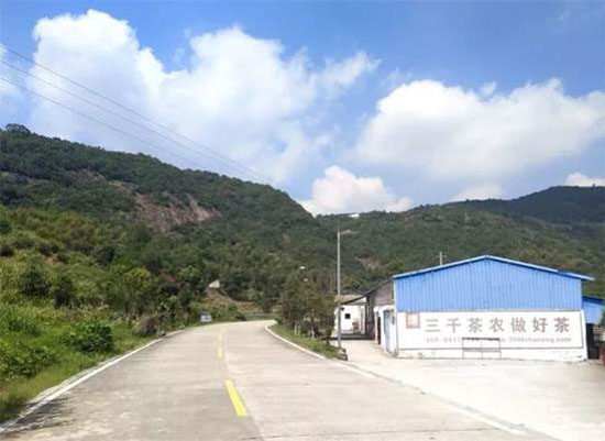 三千茶农茶叶合作社