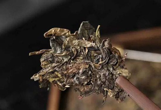 普洱茶老黄片怎么样